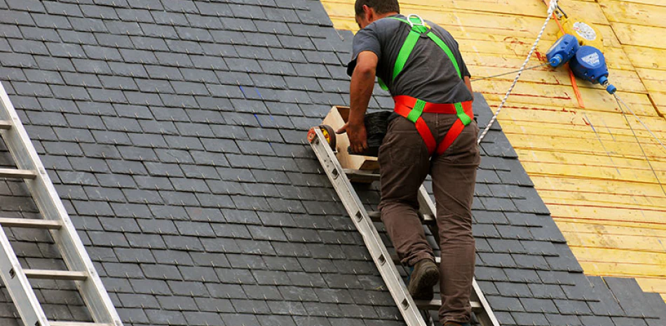 Shingle Roofing Shingle Roofing