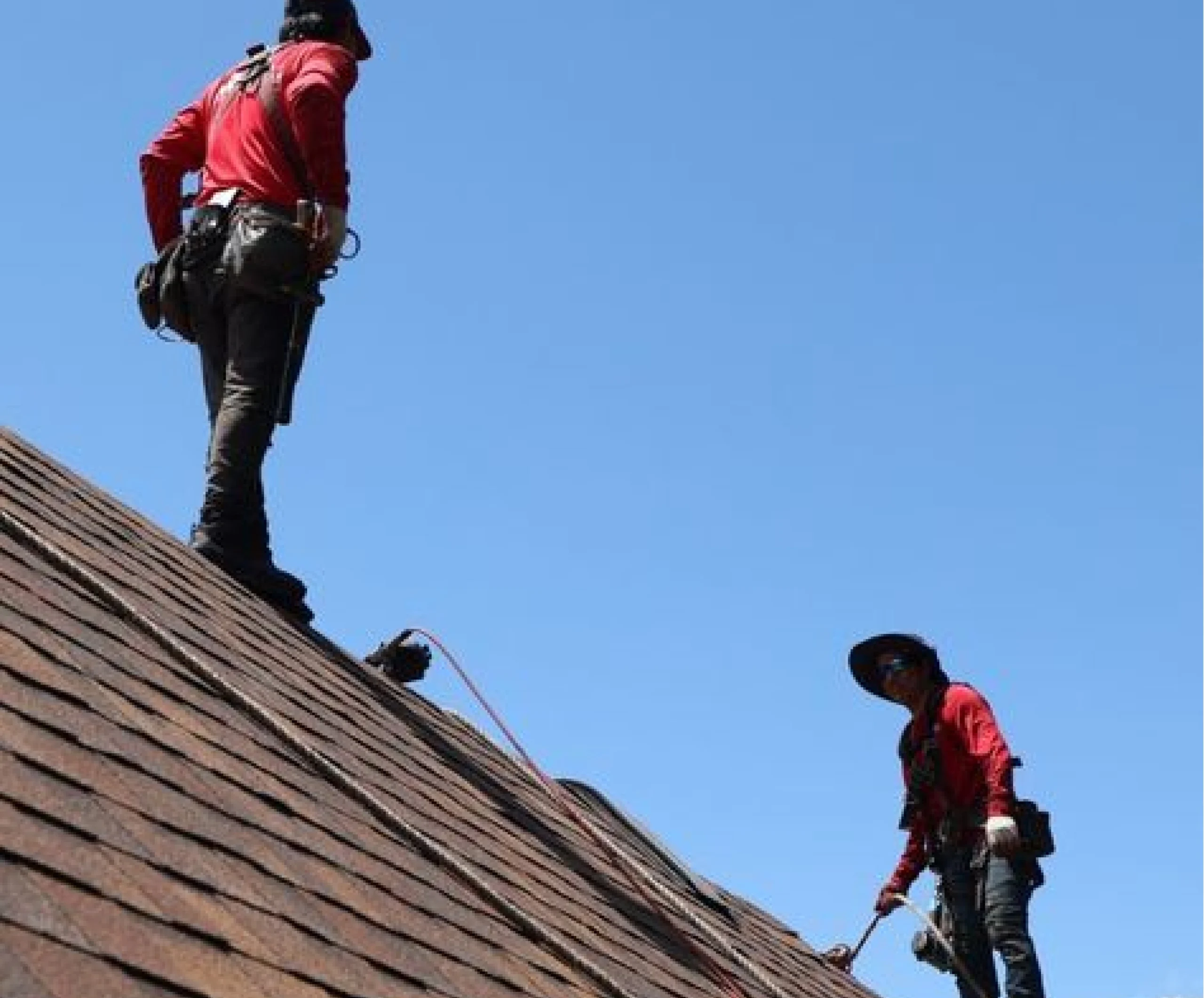Two roofers in red shirts and safety harnesses working on a brown shingled roof under a clear blue sky.